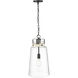 Lolla 1 Light 11.8 inch Matte Black Indoor Pendant Ceiling Light